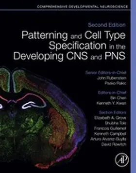 Chen / Kwan / Rubenstein | Patterning and Cell Type Specification in the Developing CNS and PNS | E-Book | sack.de