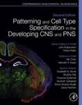 Rubenstein / Rakic / Chen |  Patterning and Cell Type Specification in the Developing CNS and PNS | eBook | Sack Fachmedien