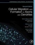 Rubenstein / Rakic / Chen |  Cellular Migration and Formation of Axons and Dendrites | eBook | Sack Fachmedien