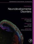 Rubenstein / Rakic / Chen |  Neurodevelopmental Disorders | eBook | Sack Fachmedien