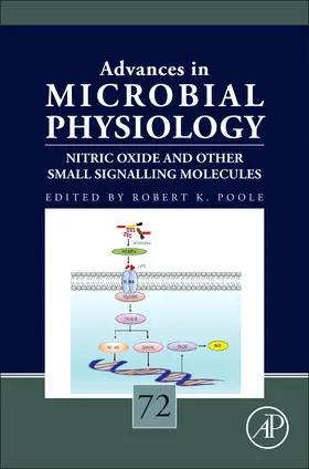 Nitric Oxide and Other Small Signalling Molecules | Buch | 978-0-12-814413-8 | www.sack.de