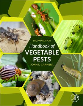 Capinera | Capinera, J: Handbook of Vegetable Pests | Buch | 978-0-12-814488-6 | sack.de