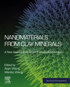 Wang | Nanomaterials from Clay Minerals | E-Book | sack.de