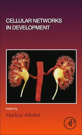 Cellular Networks in Development | Buch | 978-0-12-814589-0 | sack.de