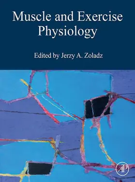 Zoladz | Muscle and Exercise Physiology | E-Book | www.sack.de