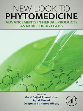 Ahmad Khan / Ahmad / Chattopadhyay |  New Look to Phytomedicine | eBook | Sack Fachmedien