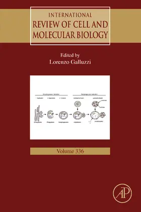 Galluzzi |  International Review of Cell and Molecular Biology | eBook | Sack Fachmedien