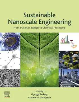 Szekely / Livingston | Sustainable Nanoscale Engineering | E-Book | www.sack.de