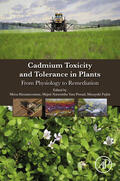 Hasanuzzaman / Prasad / Fujita |  Cadmium Toxicity and Tolerance in Plants | eBook | Sack Fachmedien