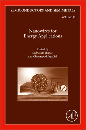 Jagadish / Mokkapati |  Nanowires for Energy Applications | Buch |  Sack Fachmedien