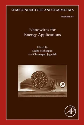 Mokkapati / Jagadish | Nanowires for Energy Applications | E-Book | sack.de