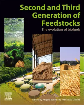 Basile / Dalena |  Second and Third Generation of Feedstocks | Buch |  Sack Fachmedien