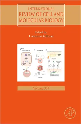 International Review of Cell and Molecular Biology | Buch | 978-0-12-815195-2 | sack.de