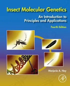 Insect Molecular Genetics | E-Book | sack.de