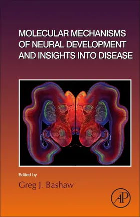Molecular Mechanisms of Neural Development and Insights into Disease | Buch | 978-0-12-815281-2 | sack.de