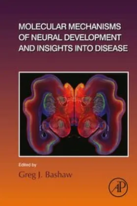  Molecular Mechanisms of Neural Development and Insights into Disease | eBook | Sack Fachmedien