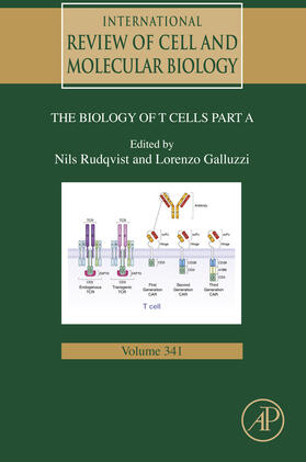 Galluzzi / Rudqvist | Biology of T Cells - Part A | E-Book | sack.de