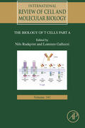 Galluzzi / Rudqvist |  Biology of T Cells - Part A | eBook | Sack Fachmedien