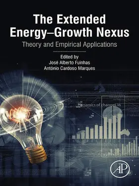 Fuinhas / Marques | The Extended Energy-Growth Nexus | E-Book | www.sack.de