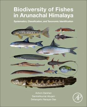 Singh / Das / Abujam | Biodiversity of Fishes in Arunachal Himalaya | Buch | 978-0-12-815556-1 | sack.de