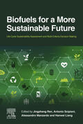Ren / Scipioni / Manzardo |  Biofuels for a More Sustainable Future | eBook | Sack Fachmedien
