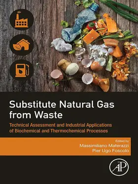 Materazzi / Foscolo | Substitute Natural Gas from Waste | E-Book | www.sack.de
