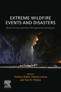 Tedim / Leone |  Extreme Wildfire Events and Disasters | eBook | Sack Fachmedien