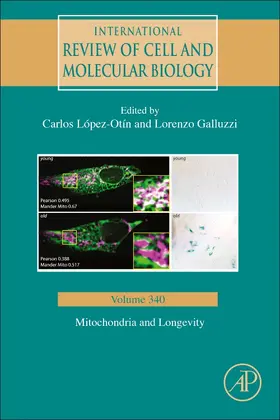 Lopez-Otin / Galluzzi |  Mitochondria and Longevity | Buch |  Sack Fachmedien