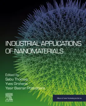 Thomas / Grohens / Beeran Pottathara | Industrial Applications of Nanomaterials | E-Book | sack.de