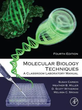 Carson / Miller / Srougi |  Molecular Biology Techniques | eBook | Sack Fachmedien