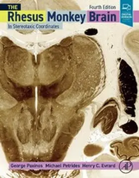 Paxinos AO (BA / Paxinos / Petrides |  The Rhesus Monkey Brain in Stereotaxic Coordinates | eBook | Sack Fachmedien