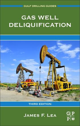 Lea Jr. / Rowlan | Gas Well Deliquification | Buch | 978-0-12-815897-5 | sack.de