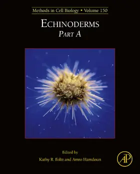 Foltz / Hamdoun |  Echinoderms | eBook | Sack Fachmedien