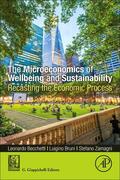 Bruni / Zamagni |  The Microeconomics of Wellbeing and Sustainability | Buch |  Sack Fachmedien