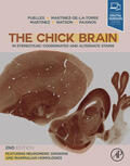 Puelles / Martinez-de-la-Torre / Martinez |  The Chick Brain in Stereotaxic Coordinates and Alternate Stains | eBook | Sack Fachmedien