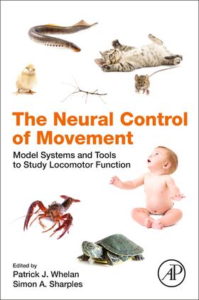 Whelan / Sharples |  The Neural Control of Movement | Buch |  Sack Fachmedien