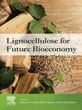 Ariffin / Sapuan |  Lignocellulose for Future Bioeconomy | eBook | Sack Fachmedien