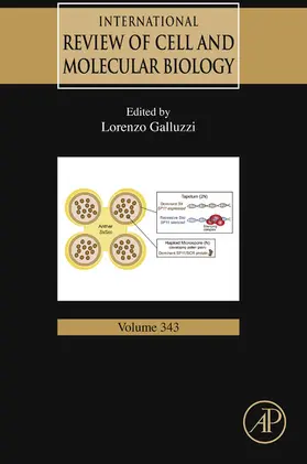 Galluzzi | International Review of Cell and Molecular Biology | E-Book | sack.de
