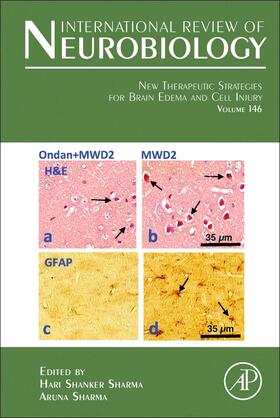  New Therapeutic Strategies for Brain Edema and Cell Injury | Buch |  Sack Fachmedien