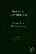 Bailey |  Crispr-Cas Enzymes | Buch |  Sack Fachmedien