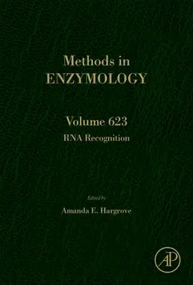  RNA Recognition | Buch |  Sack Fachmedien