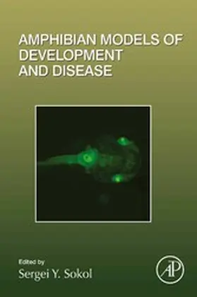  Amphibian Models of Development and Disease | eBook | Sack Fachmedien