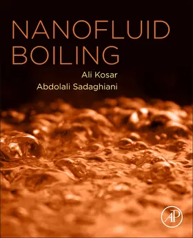 Sadaghiani / Ozbey / Karimzadehkhouei |  Nanofluid Boiling | Buch |  Sack Fachmedien