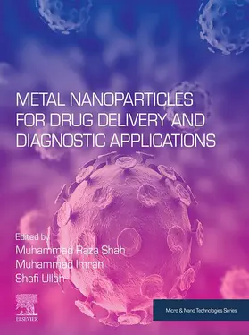 Shah / Imran / Ullah |  Metal Nanoparticles for Drug Delivery and Diagnostic Applications | eBook | Sack Fachmedien
