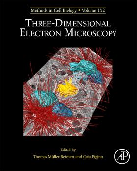 Muller-Reichert / Pigino | Three-Dimensional Electron Microscopy | Buch | 978-0-12-817018-2 | sack.de