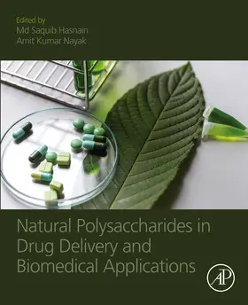 Hasnain / Nayak | Natural Polysaccharides in Drug Delivery and Biomedical Applications | E-Book | sack.de