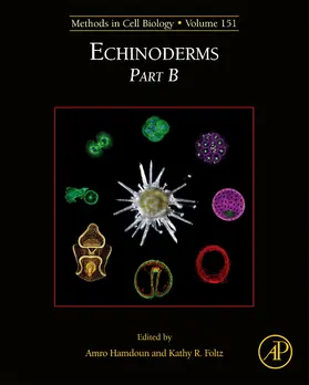  Echinoderms Part B | Buch |  Sack Fachmedien