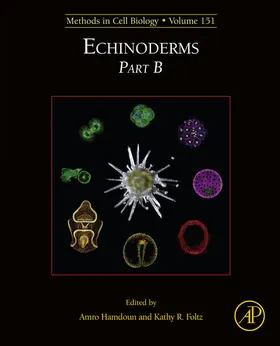 Hamdoun / Foltz |  Echinoderms Part B | eBook | Sack Fachmedien
