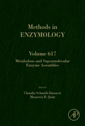 Schmidt-Dannert |  Metabolons and Supramolecular Enzyme Assemblies | Buch |  Sack Fachmedien