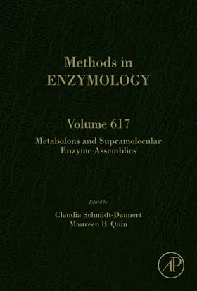 Schmidt-Dannert / Quin |  Metabolons and Supramolecular Enzyme Assemblies | eBook | Sack Fachmedien